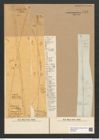 Toxarium undulatum Bail. (de-Toni-Nr.: Genus 69, Species 2686) Zeichnungen Sammlung Grunow Nr. 5511 (NHMW-BOT-W0373954)
